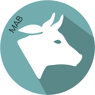 Anti IgG Bovina