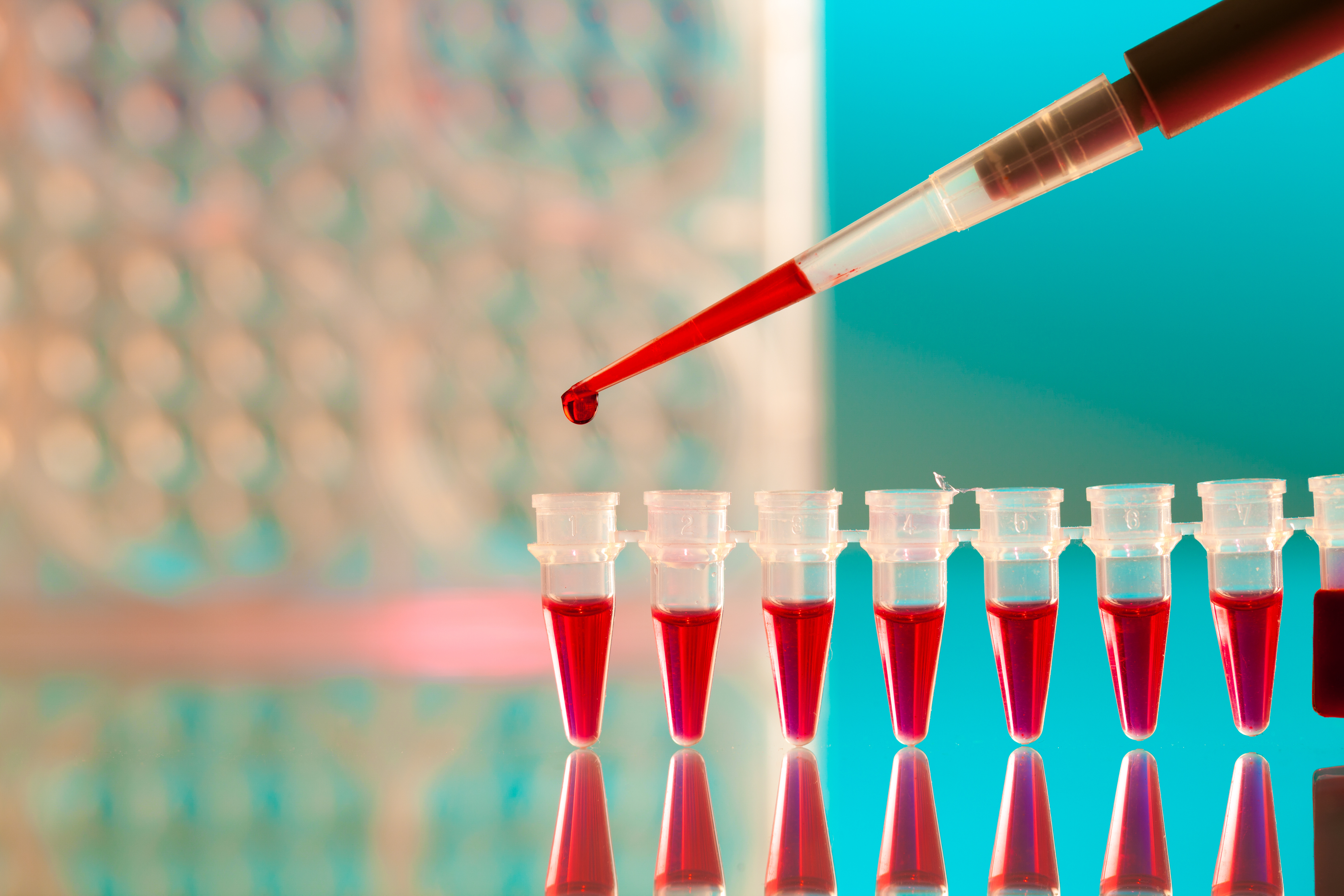 DESCUBRA nuestro nuevo catálogo de qPCR para salud animal DESCUBRA nuestro nuevo catálogo de qPCR para salud animal