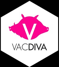 2º taller internacional de VACDIVA