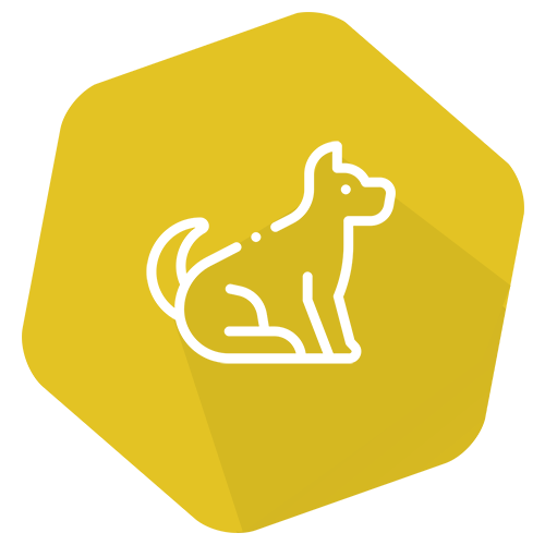 Kit de Sensibilización Ambiental Canina INgezim® PLEX