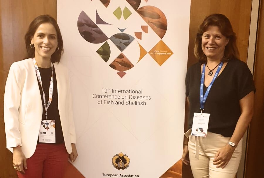 Eurofins Ingenasa participó la pasada semana en Porto en la 19ª Conferencia Internacional de Enfermedades de Peces y Moluscos Eurofins Ingenasa participó la pasada semana en Porto en la 19ª Conferencia Internacional de Enfermedades de Peces y Moluscos