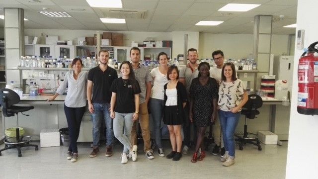 Eurofins Ingenasa acoge el curso de expresión de proteínas en células de insecto (proyecto Europeo HONOURs, programa Marie Curie) Eurofins Ingenasa acoge el curso de expresión de proteínas en células de insecto (proyecto Europeo HONOURs, programa Marie Curie)