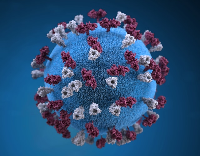 Eurofins-Ingenasa-news-sars-cov-2-ring-test Eurofins-Ingenasa-news-sars-cov-2-ring-test
